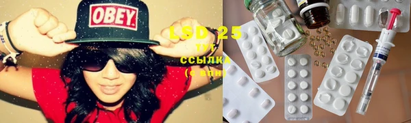 амф Богданович