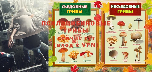 трава Богородицк