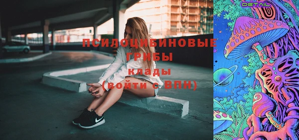 дмт Богородск