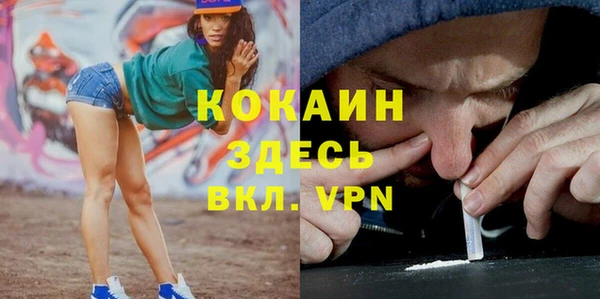 трава Богородицк