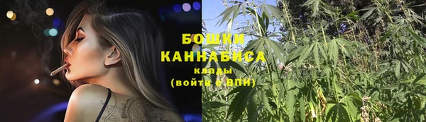 дмт Богородск