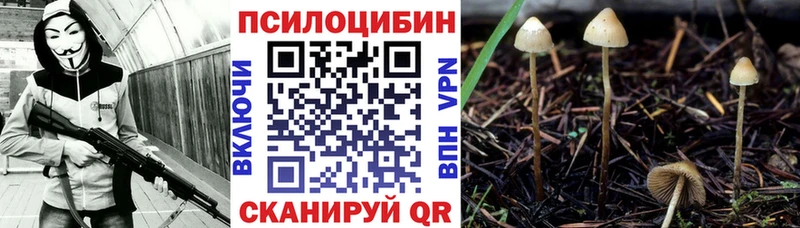 Галлюциногенные грибы Magic Shrooms  где купить наркоту  Смоленск 
